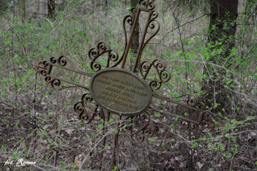 Wężówka - nieczynny cmentarz ewangelicki