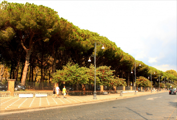 Pompeje - ulica współczesnego miasta. Piękne sosny piniowe.