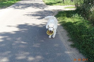 Moja królewna #Corsa na #bieżąco