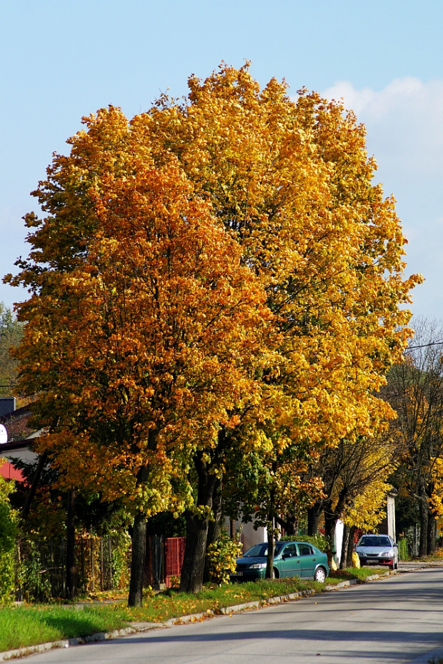 świetokrzyskie