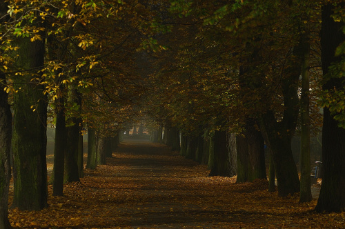 Kielce 20.10.2017