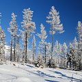 uroki zimy w Tatrach