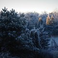 Taki miałam dziś widok z okna. Rano było -8 st.