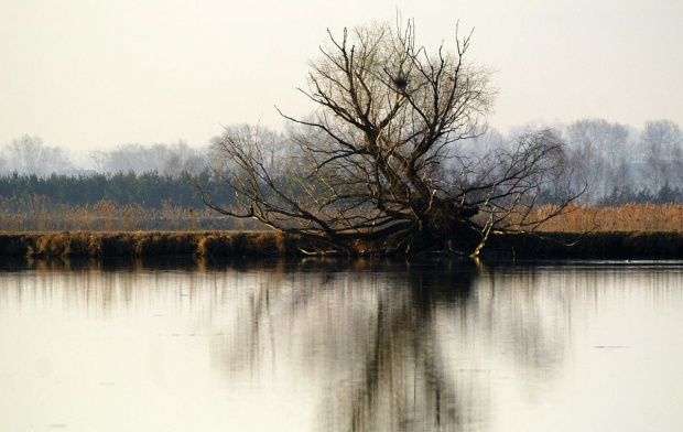 świętokrzyskie