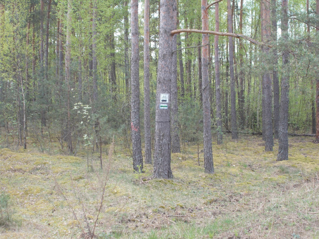 Supraśl-Siemianówka. Okolice obfitują w inne szlaki