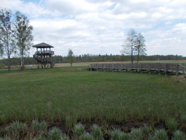 Siemianówka-Białowieża. . Kolejna wieża widokowa bez widoku, dla koneserów lub śpiochów :-)