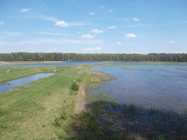 Zwierzyniec-Józefów. Stawy Echo na terenie RPN