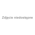 Dziwny koniec/początek odcinka prowadzącego już nieprzerwanie do Mikoszewa nad Wisłą. Wygląda na rozwiązanie tymczasowe; tędy ma biec w przyszłości szlak R10.