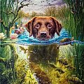 Swimming dog, Castorland, 500