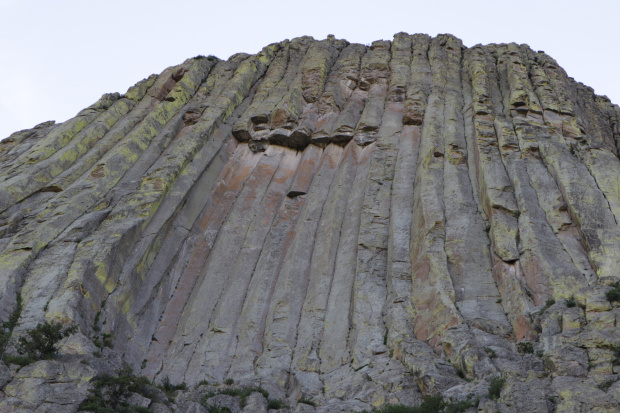 Devil's Tower