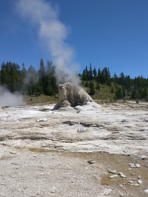 Upper Geyser Basin - Giant Geyser