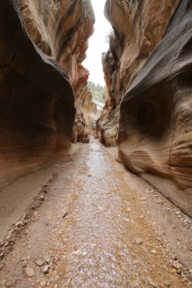 Willis Creek