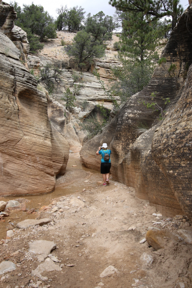 Willis Creek