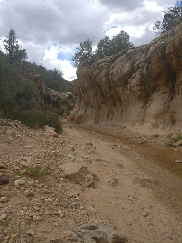 Willis Creek