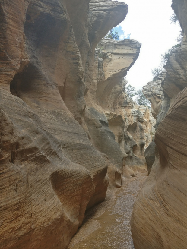 Willis Creek