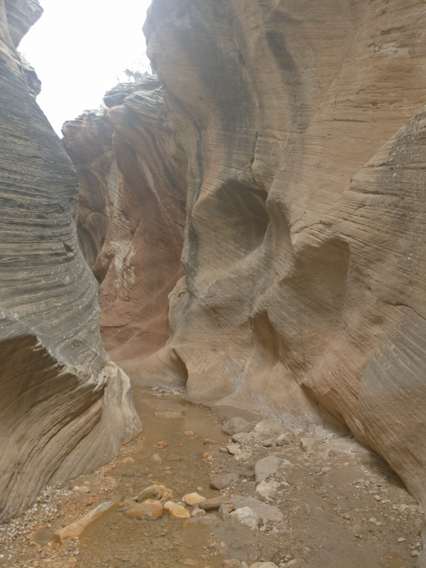 Willis Creek