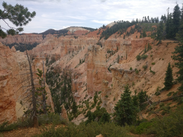 Bryce- - Black Birch Canyon