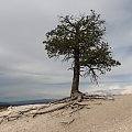 Inspiration Point