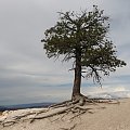 Inspiration Point