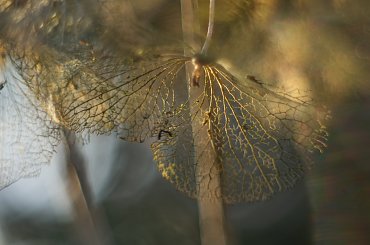 Wspomnienie minionego lata