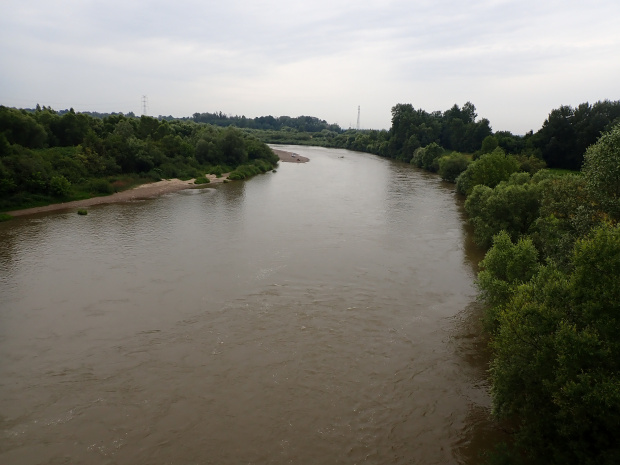 Dunajec niedaleko ujścia do Wisły