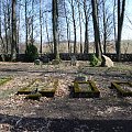 Płowce - Cmentarz rodziny Wilutzkich