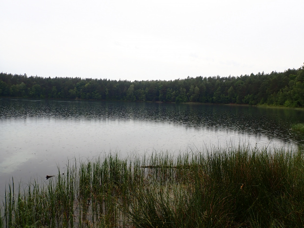 Jezioro Jasne i rezerwat o tej samej nazwie. Jezioro o nieprzeciętnie czystej, kwaśnej wodzie i niesamowitej widoczności dna. Niestety padał deszcz ...